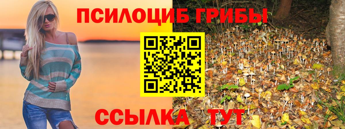 Псилоцибиновые грибы Psilocybine cubensis Верхний Уфалей